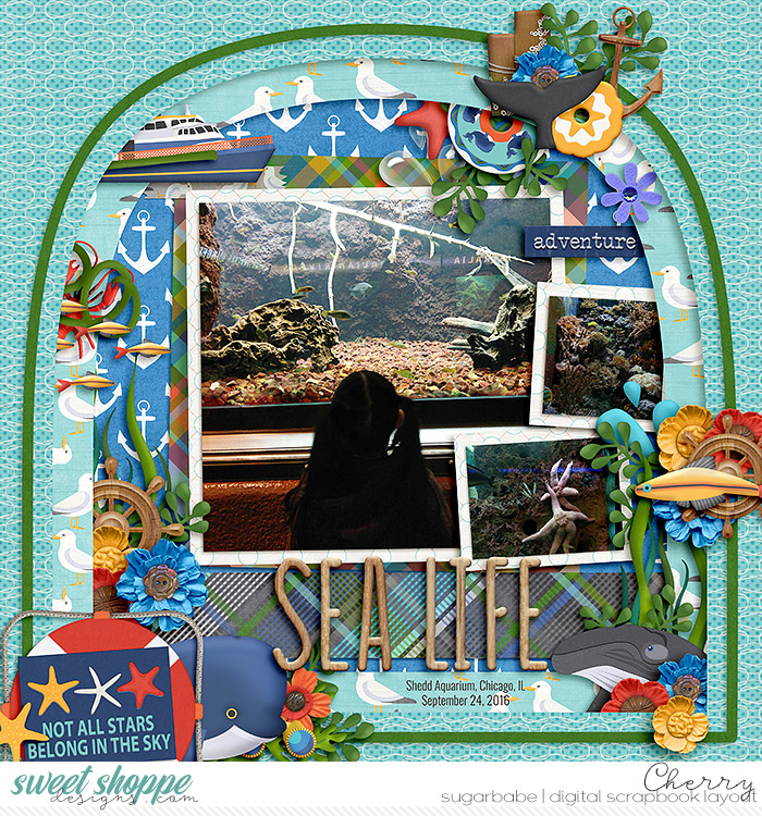 Sea Life