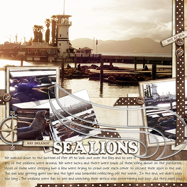 Sea Lions at Pier 39
