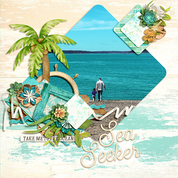 Sea seeker