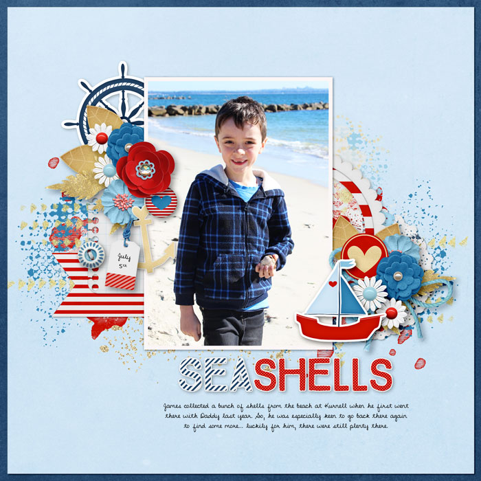 Sea Shells