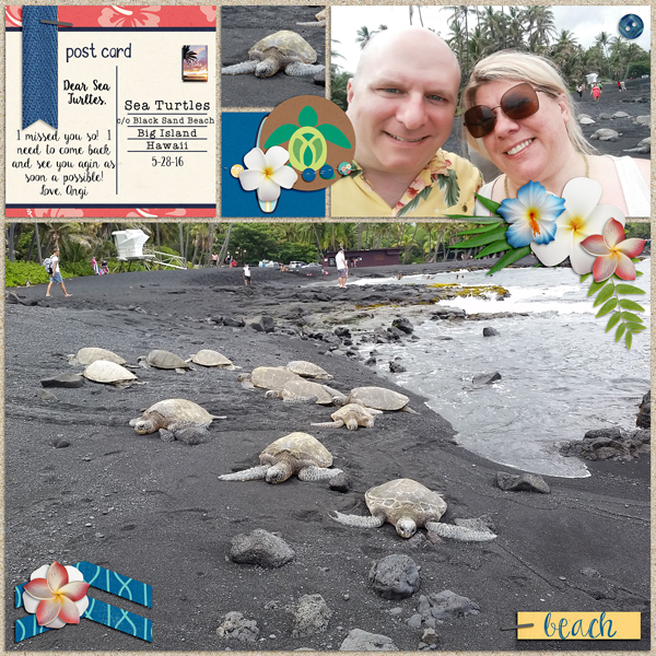 Sea Turtles challenge #11