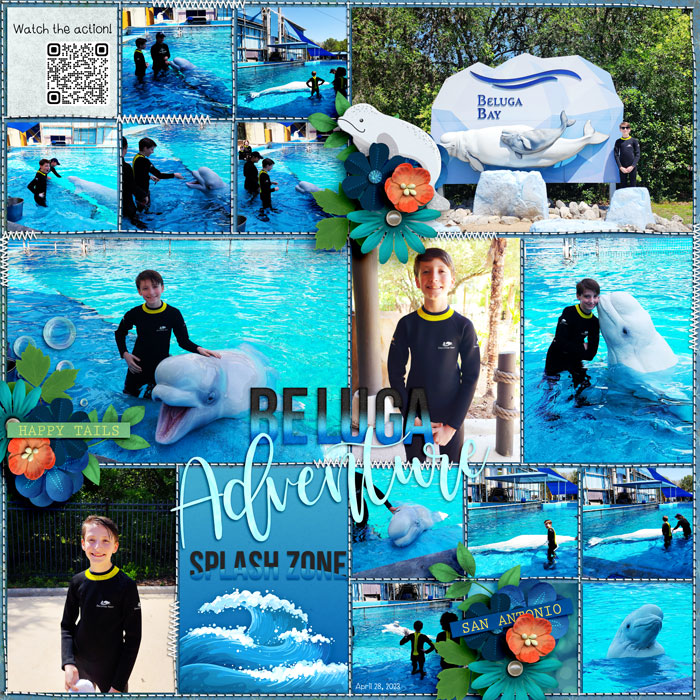 Sea World Beluga Encounter 23