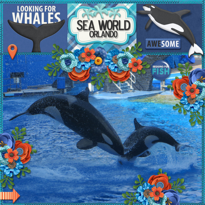 Sea World Orlando