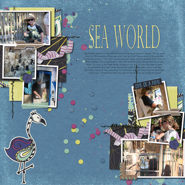 Sea World Visit