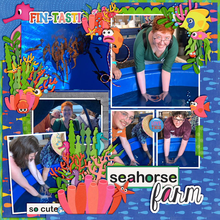 Seahorse Farm