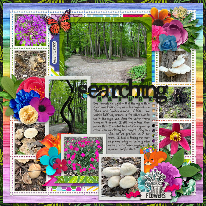 Searching Nature