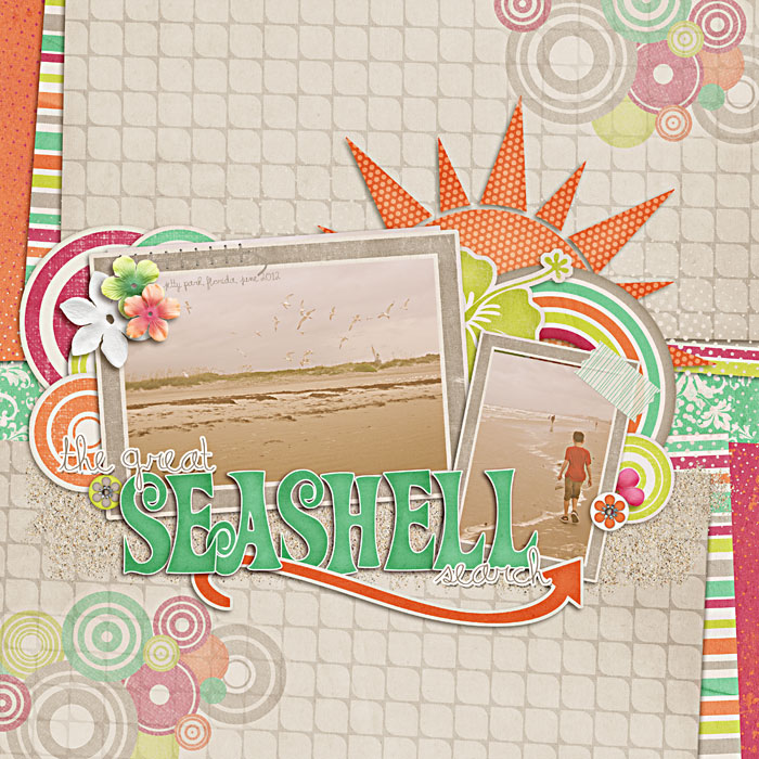 seashell search