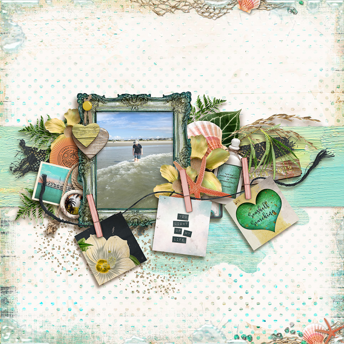 Seashell Searching