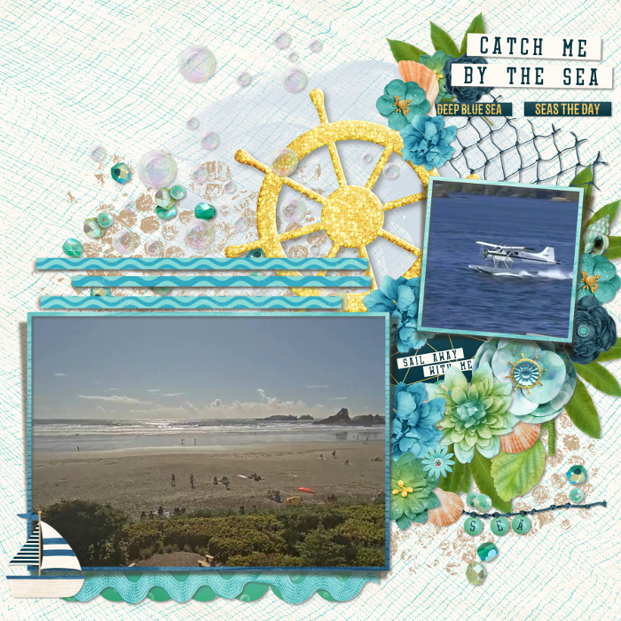 Seashore