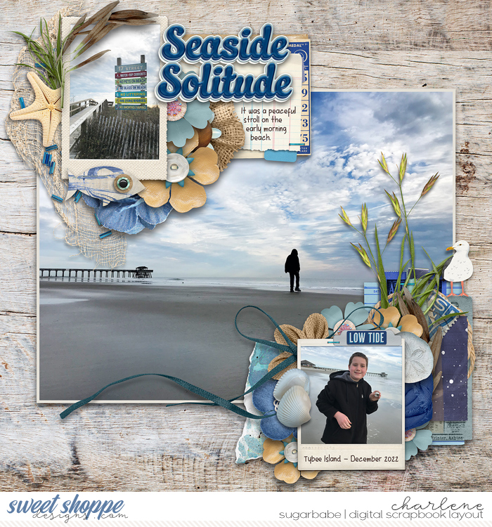 Seaside Solitude