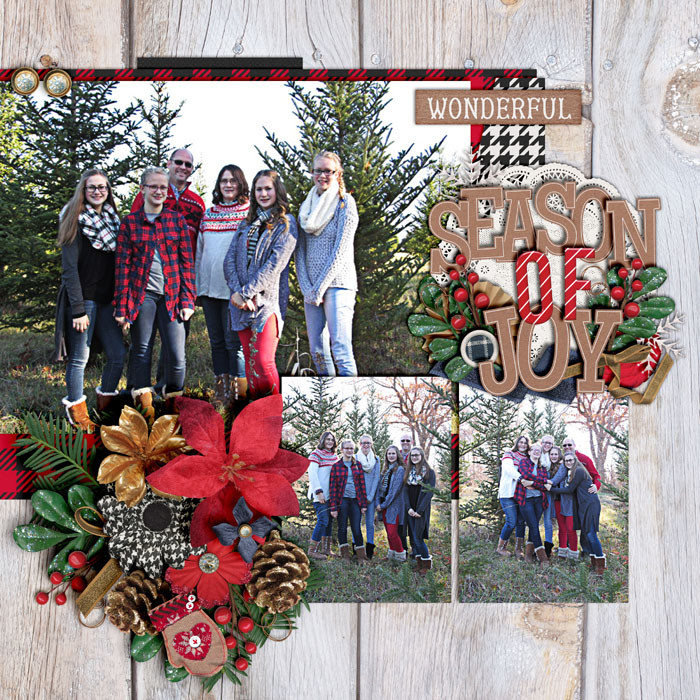 Season of Joy