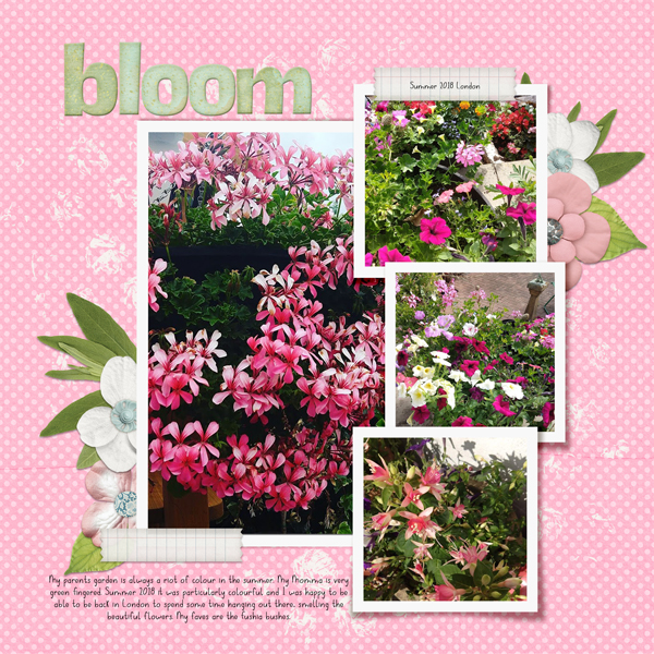 Seasonal: Bloom..