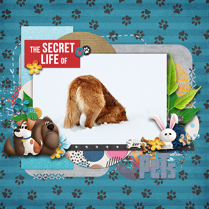 Secret Life of Pets