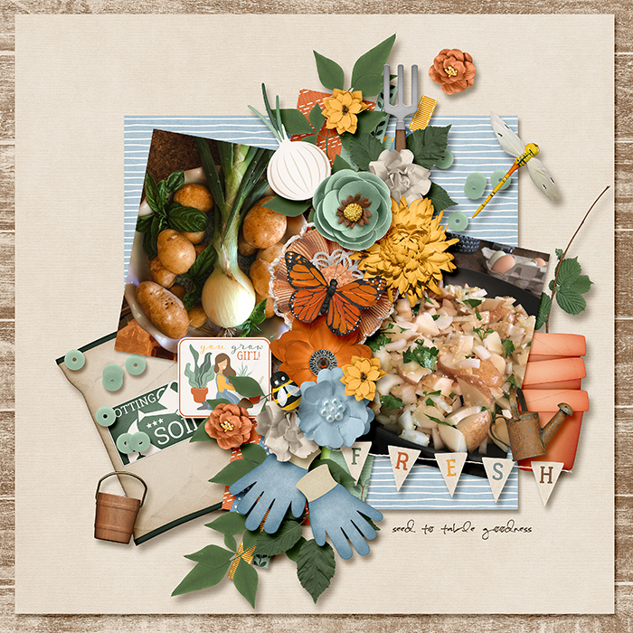 Seed to Table