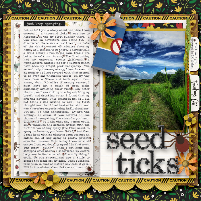 SeedTicks