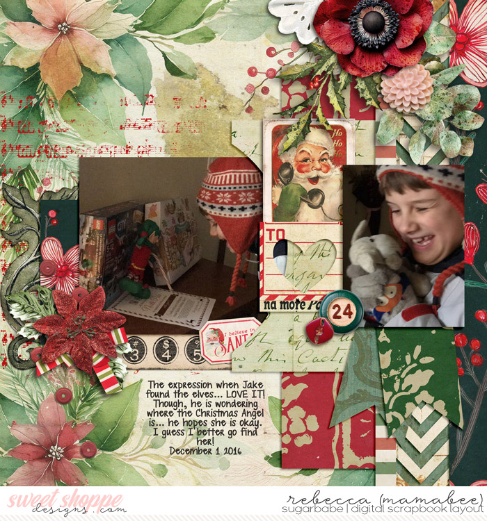 Seeing the elves