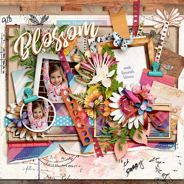 Seek. Flourish. Blossom.