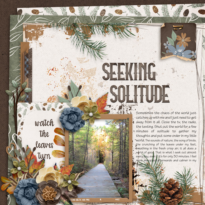 Seeking Solitude