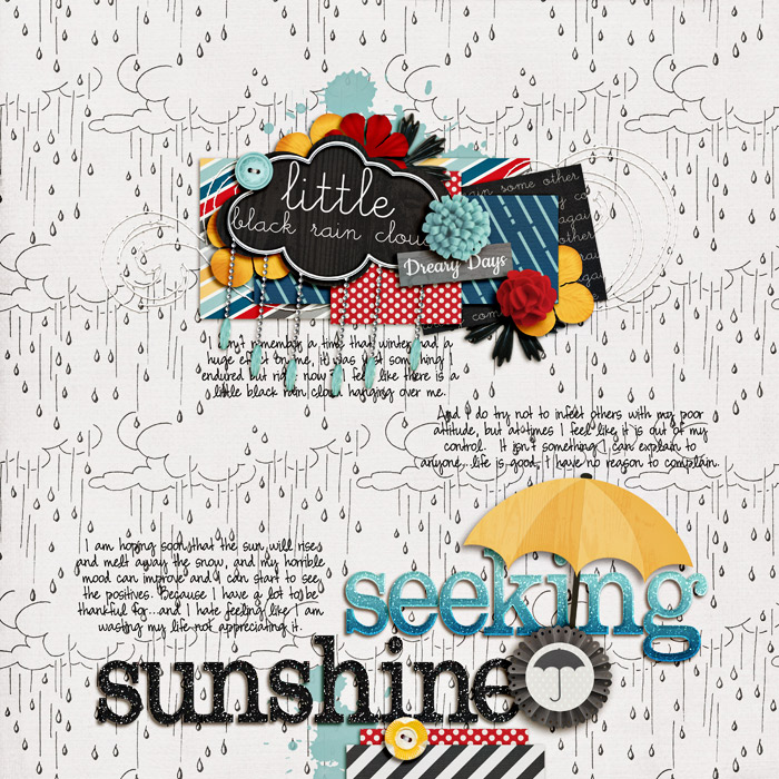 seeking-sunshineSSD
