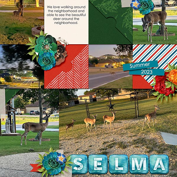 SELMA