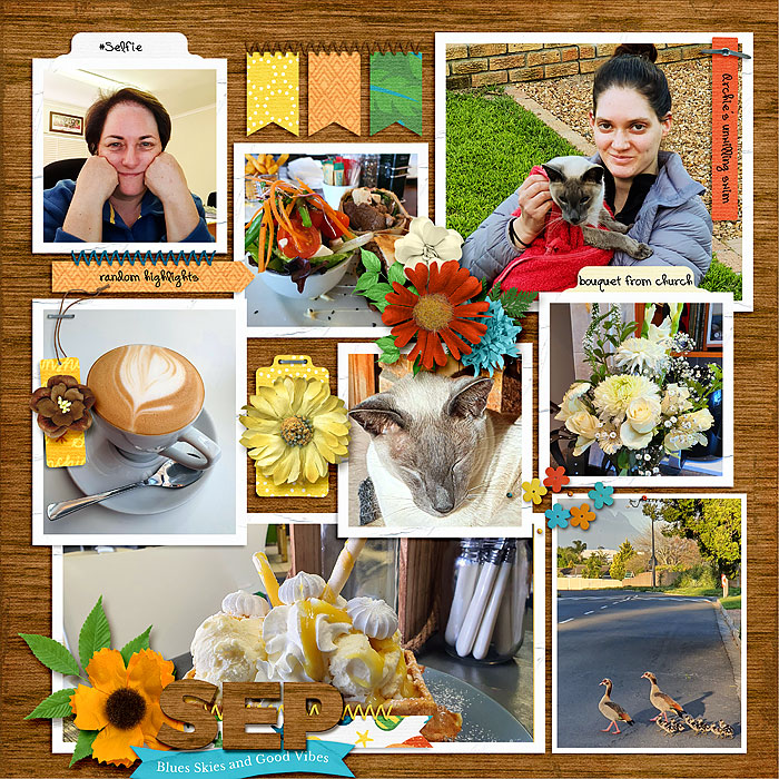 Sept at home