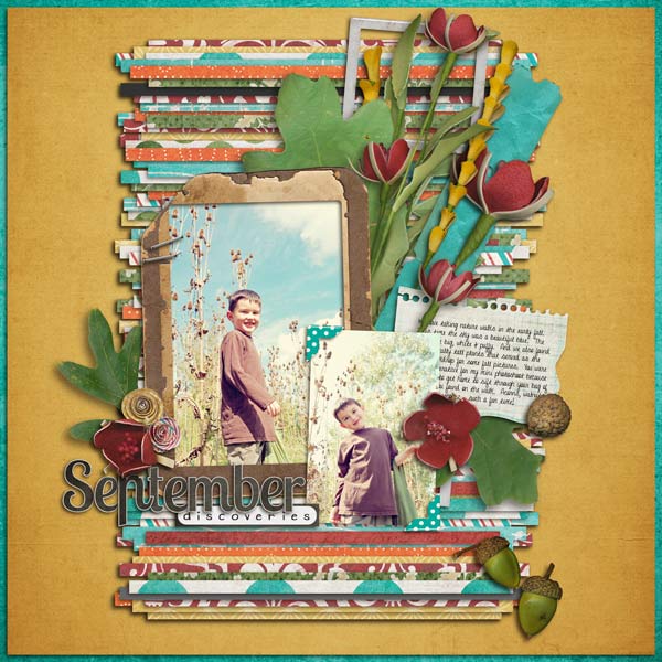 September Discoveries
