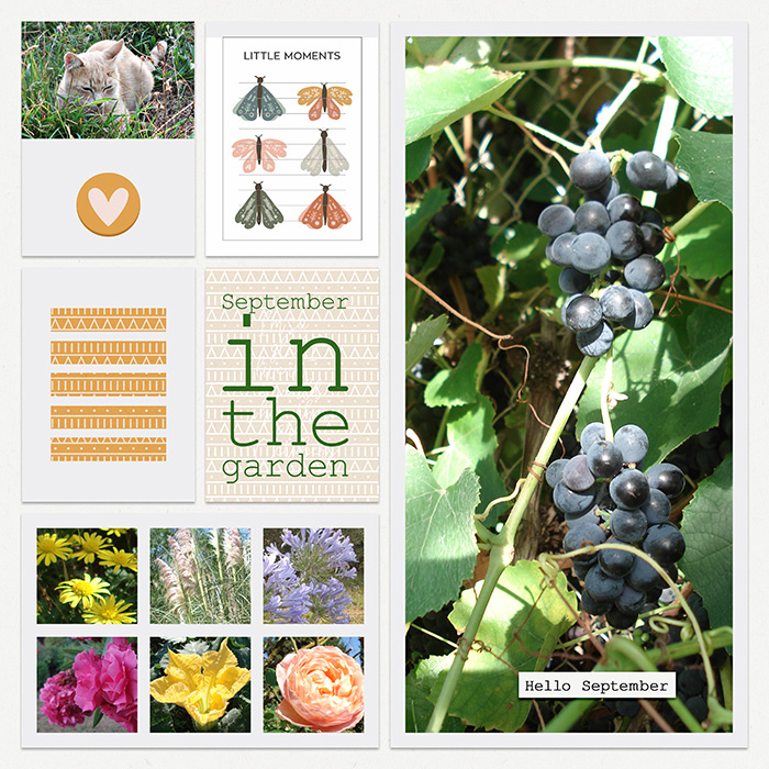 September in the garden