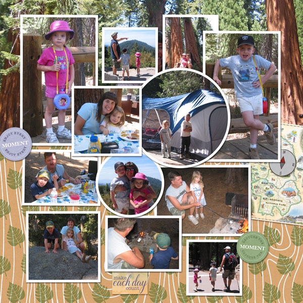 Sequoia Nat'l Park