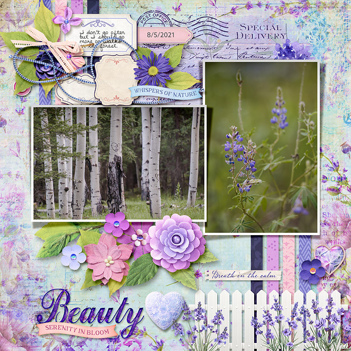 Serenity in Bloom