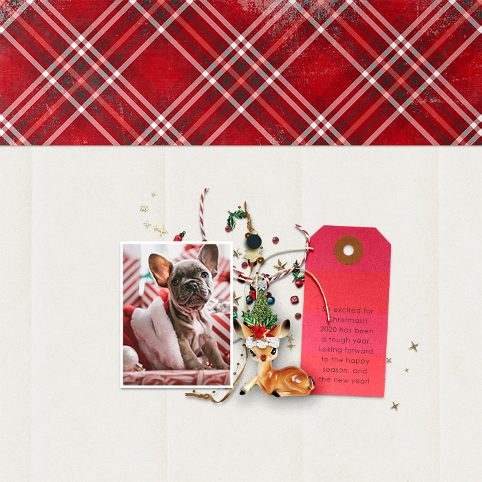 sgleason_dsd2019_Christmaslicious
