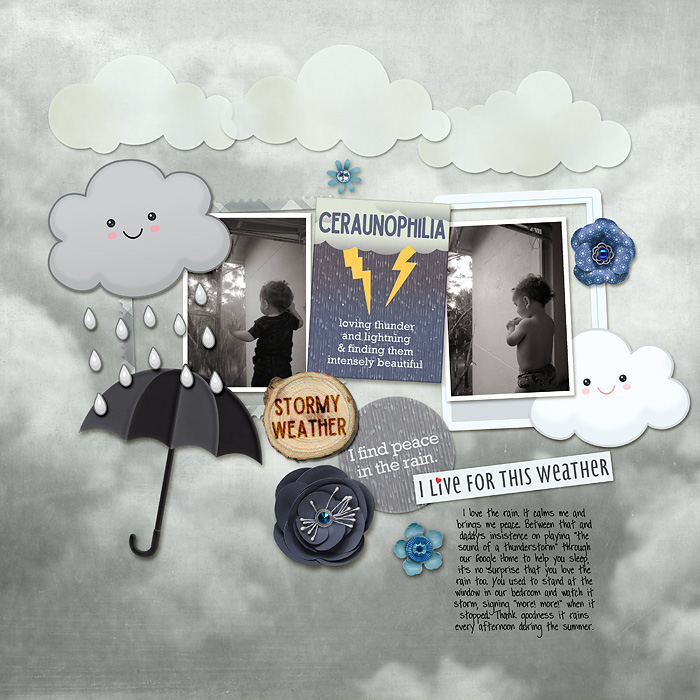 shadowbox 17 - stormy colors