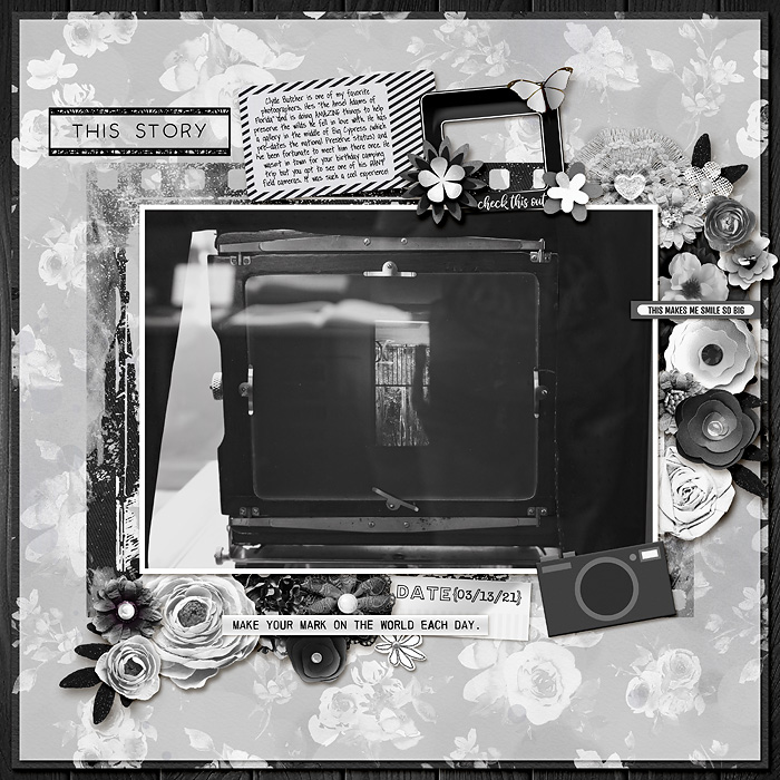 shadowbox 2 - famous artist - Ansel Adams / Clyde Butcher