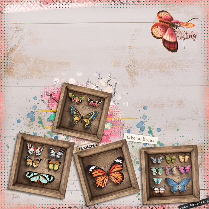 shadowbox 24 - opt. 1