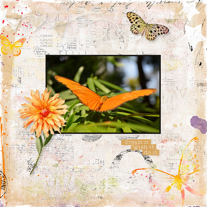 Shadowbox - 24