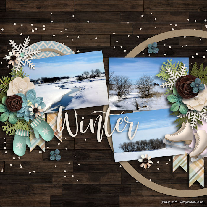 Shadowbox #26
