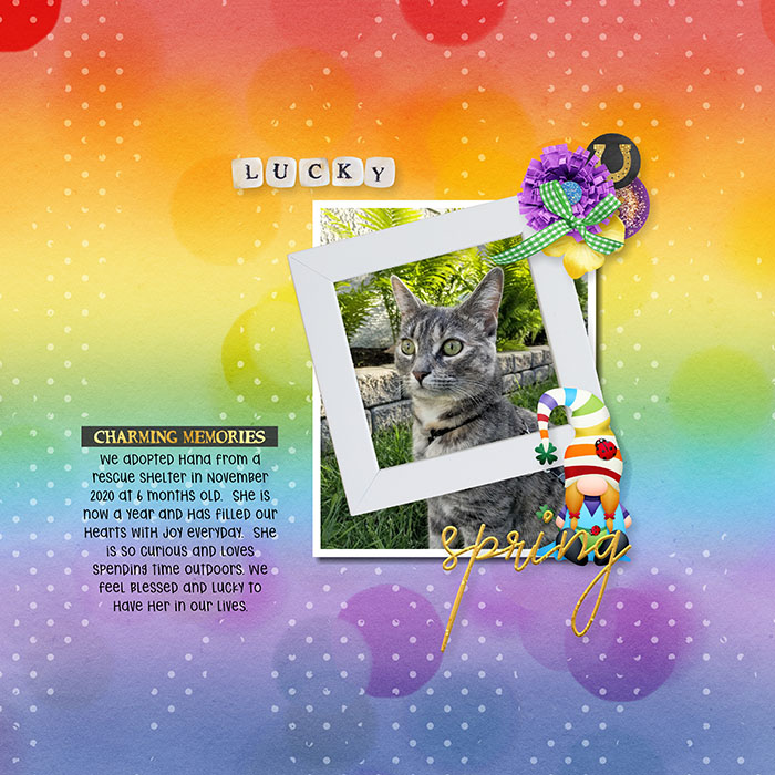 Shadowbox - Aug 15