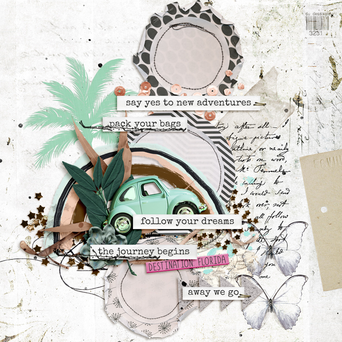 Shadowbox Aug 2021: Aug17 - Circles - Destination Florida