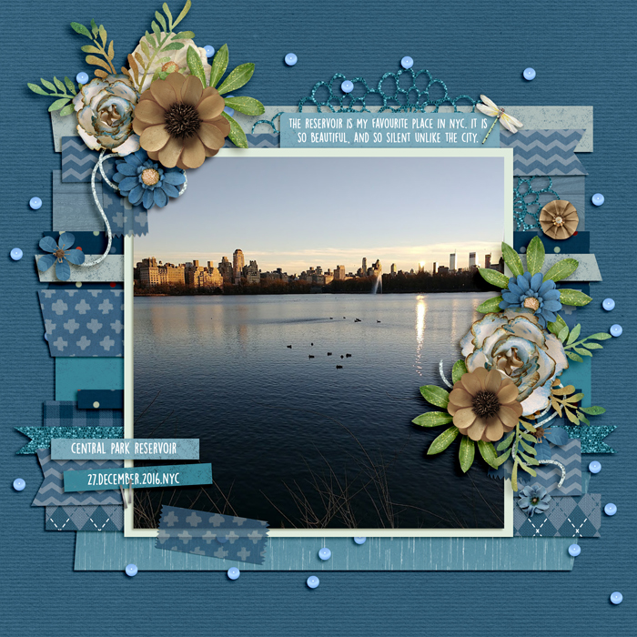 Shadowbox Aug 2021: Aug18 Beautiful - Central Park Reservoir