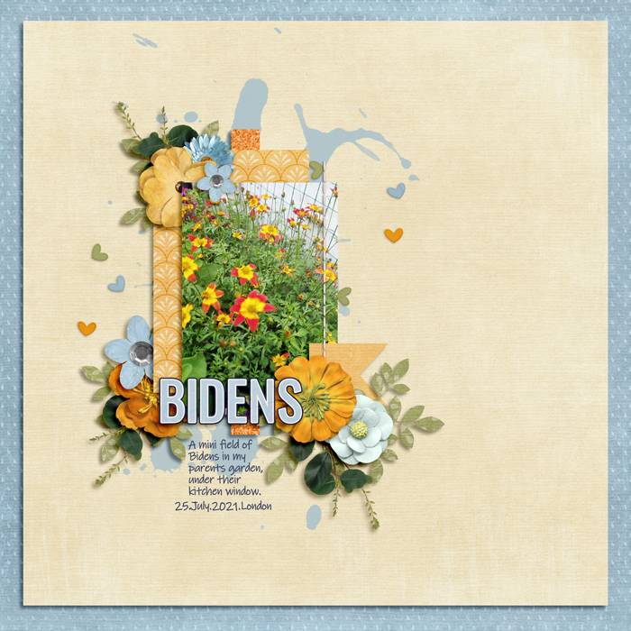 Shadowbox Aug 2021: Aug29 Garden Bidens