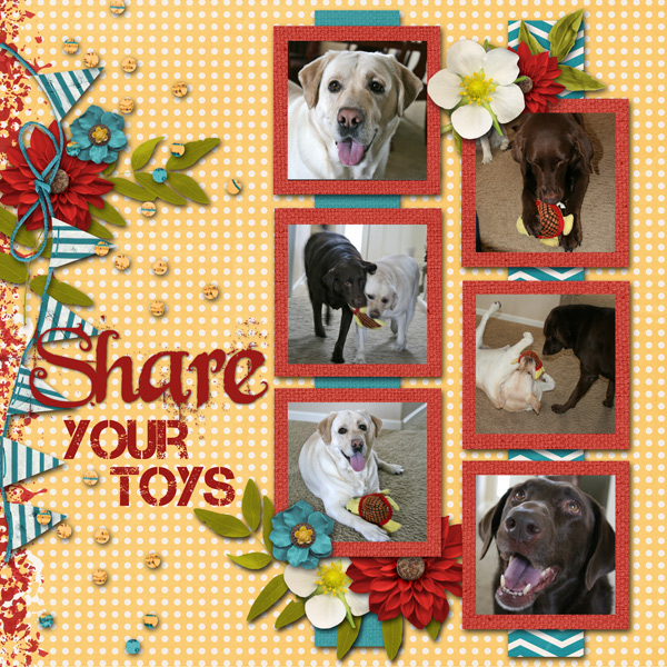 Share your Toys