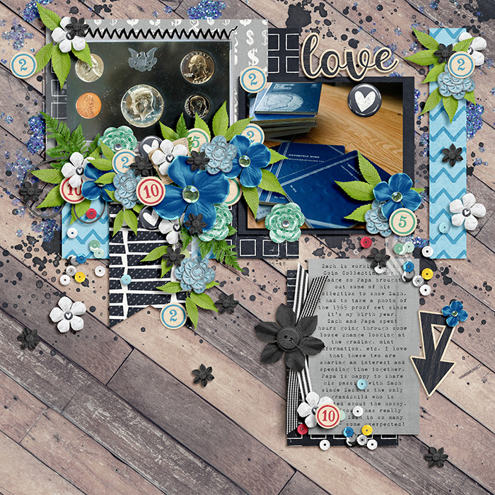 Sharing the Coin Collecting Love