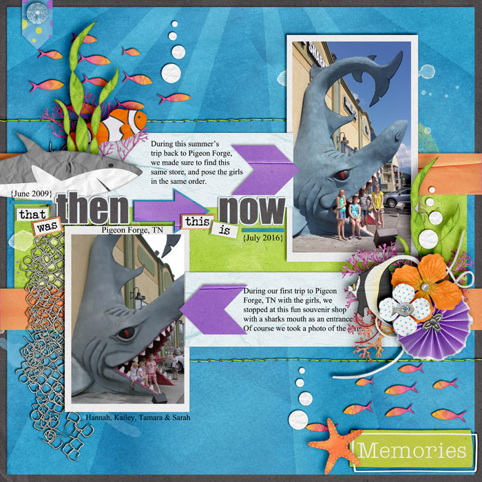Shark Store Then and Now