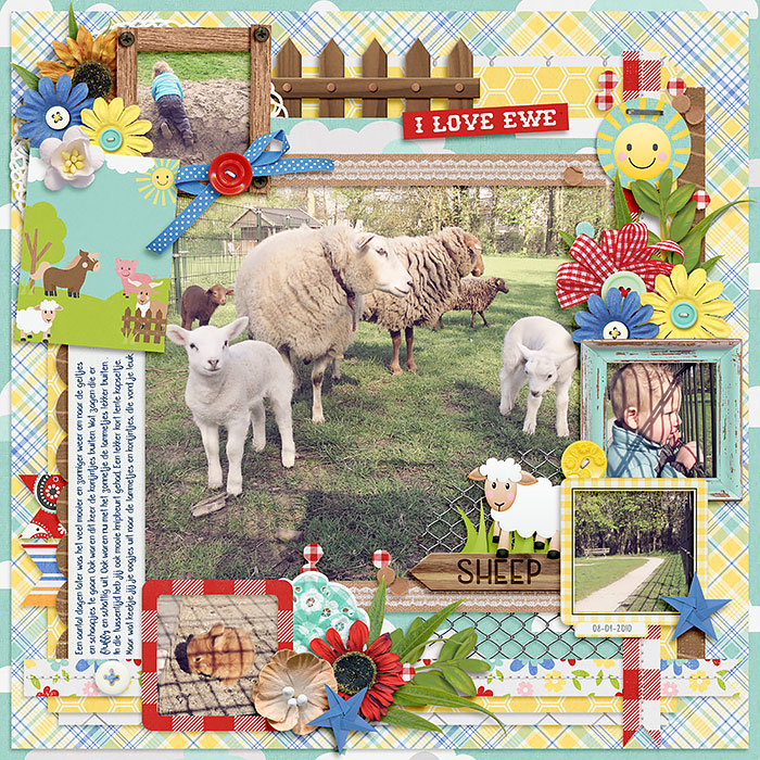 Sheep...
