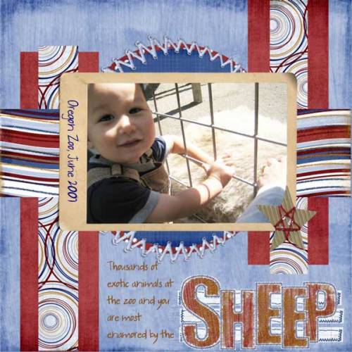 Sheep