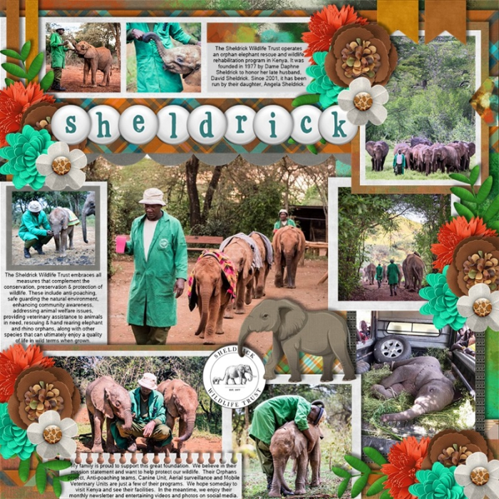 Sheldrick