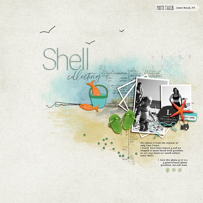 Shell Collecting