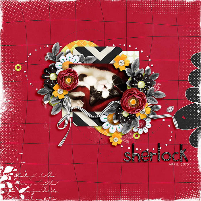 Sherlock