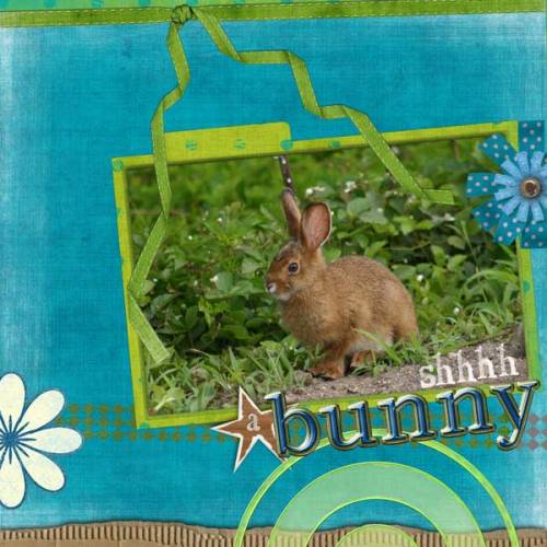 Shhhh A Bunny