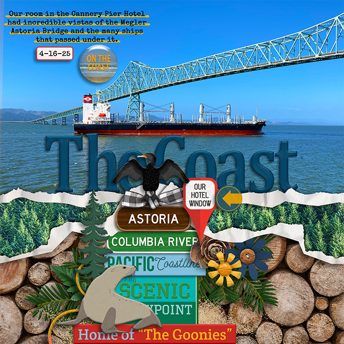 Ships under the Metzger-Astoria Bridge