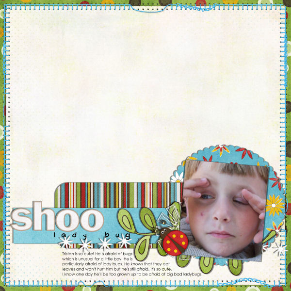 shoo ladybug
